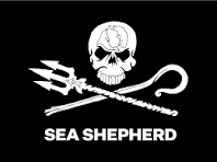 Sea Shepherd Ambassador program Ohana Calpe 